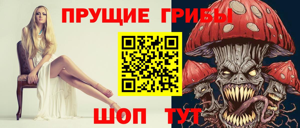 как найти наркотики  Псилоцибиновые грибы Psilocybine cubensis  Вход с VPN  Псилоцибиновые грибы Cubensis  Магадан 